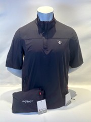 Disney Shirt Picture