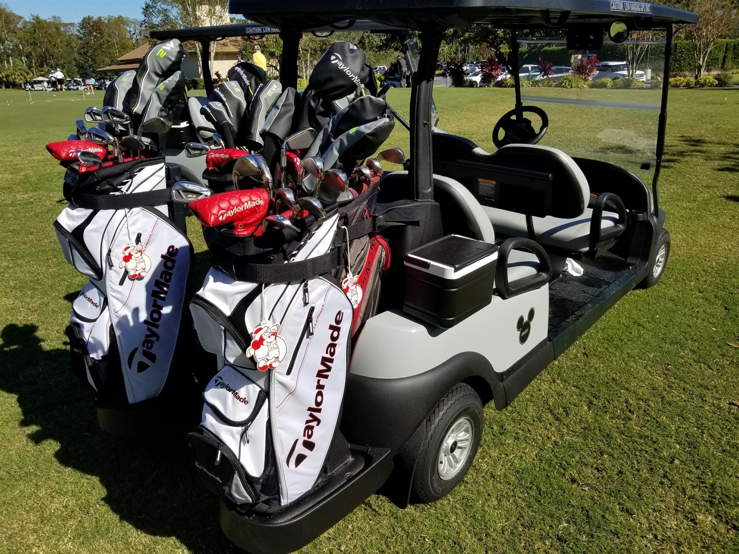 Disney wdw 4 seater 4