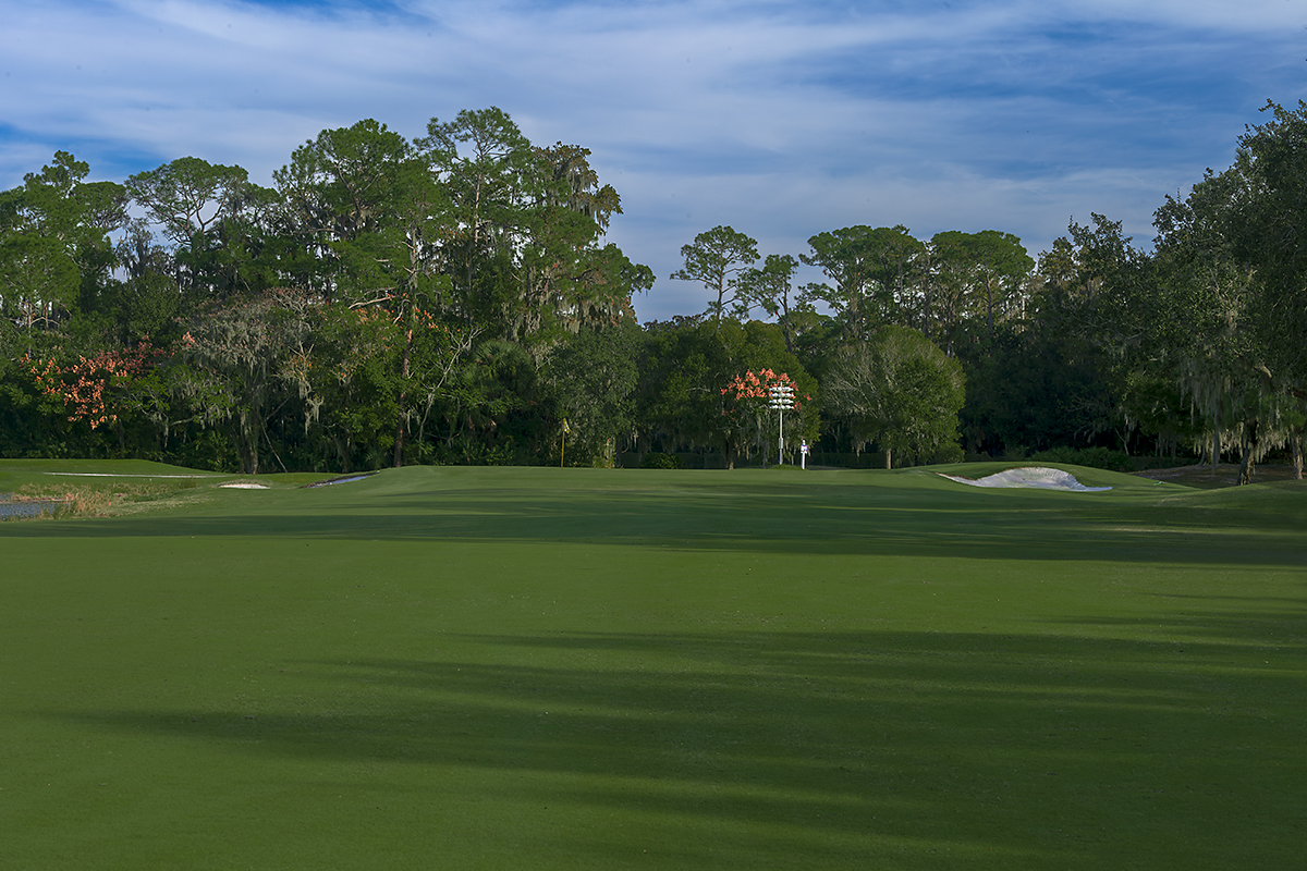 Disney's Magnolia Course hole 14